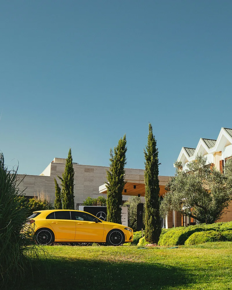 Rechtsbeistand in Erbschaftsangelegenheiten