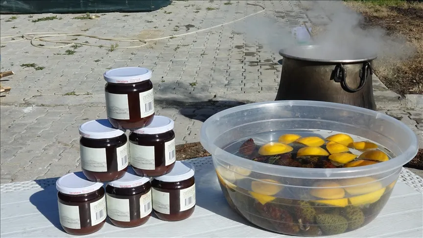 아이 발릭에서는 여성의 노동력으로 장작불에 8 시간 동안 끓인 솔방울이 시럽으로 변합니다.