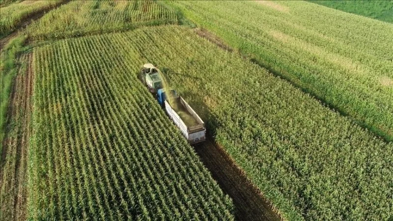 Se han establecido las normas relativas a la protección y el uso de las tierras agrícolas