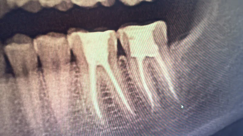 Alanya HEALTHY TEETH Dental Aesthetic — Medizin in Alanya: Online-Bestellung, Preise und Bewertungen