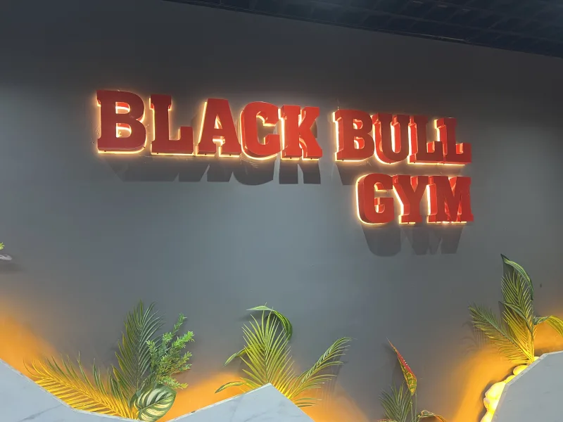 Black Bull Pro GYM — Gymnastique à Alanya: Commande en ligne, prix et avis