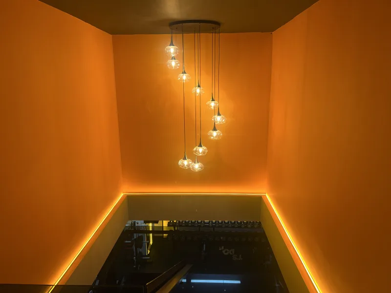 Black Bull Pro GYM — Gymnastique à Alanya: Commande en ligne, prix et avis