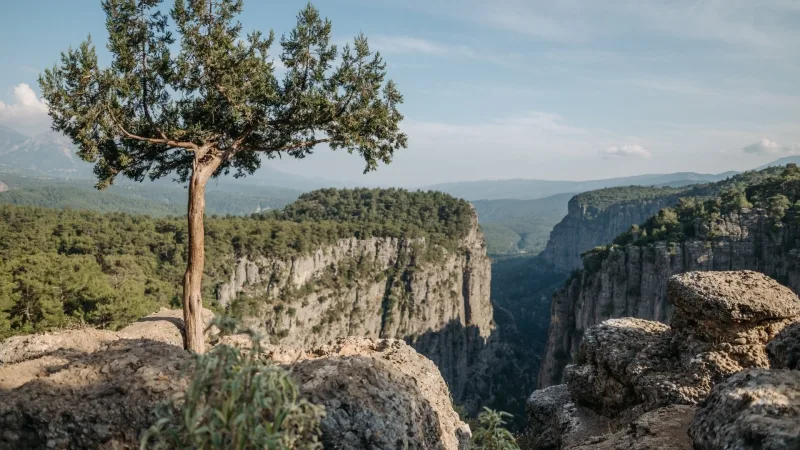 Zwei in Einem: Malerischer Tazy Canyon und Fun-Rafting