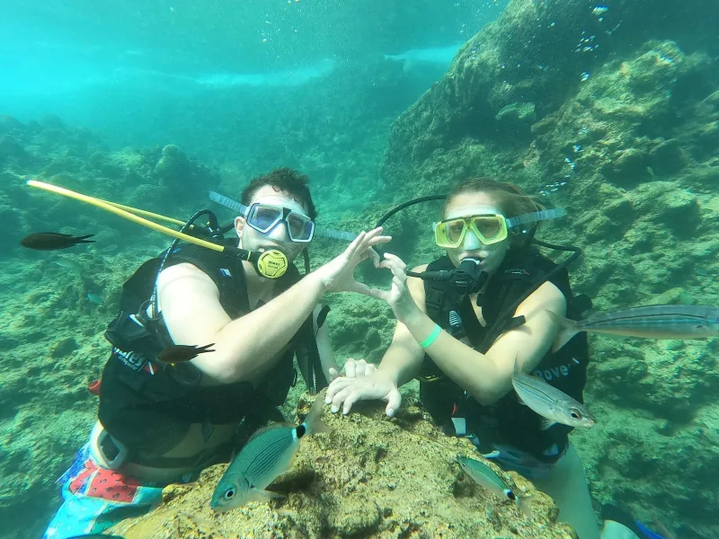 Seetauchen: Geheimnisse der Unterwasserwelt